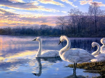 lago de los cisnes atardecer paisaje aves Pinturas al óleo